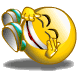 :sm03 (33):